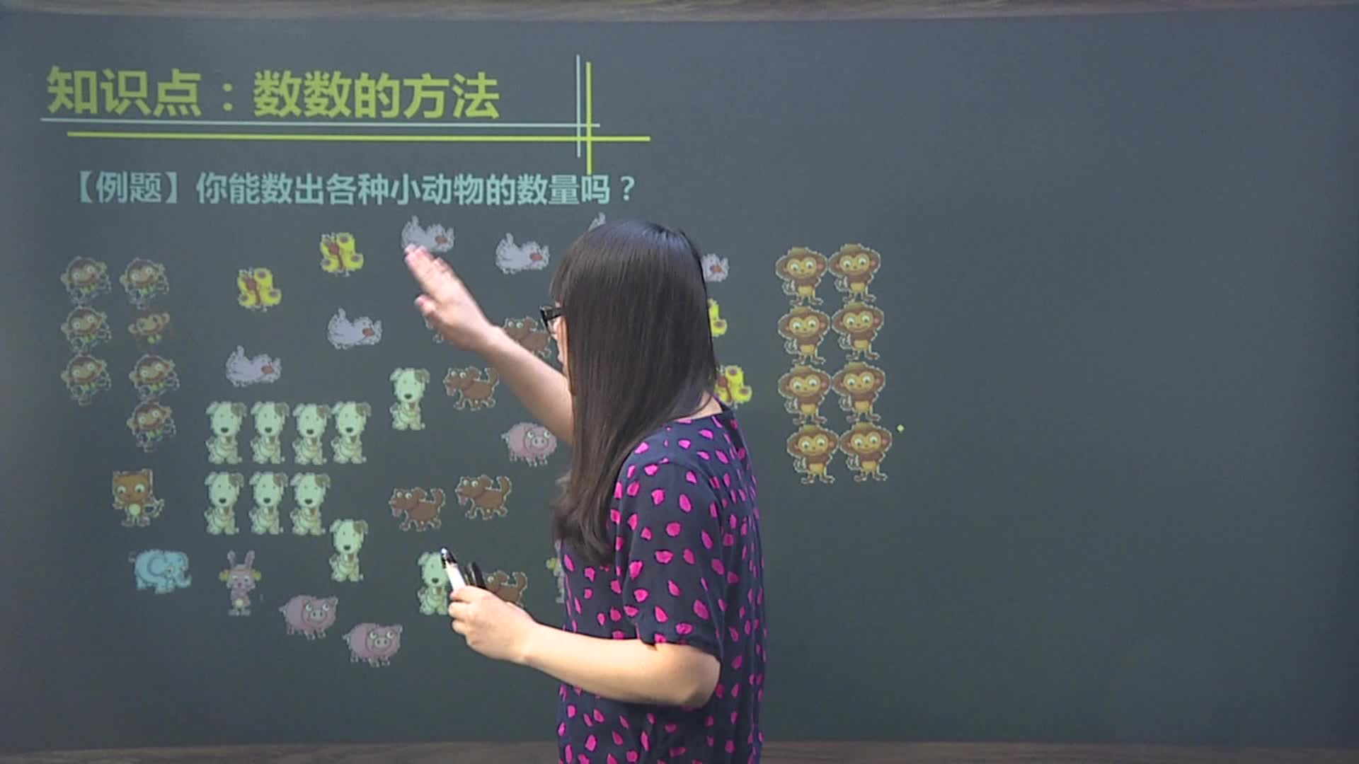 考纲考点全覆盖（一年级数学上册）