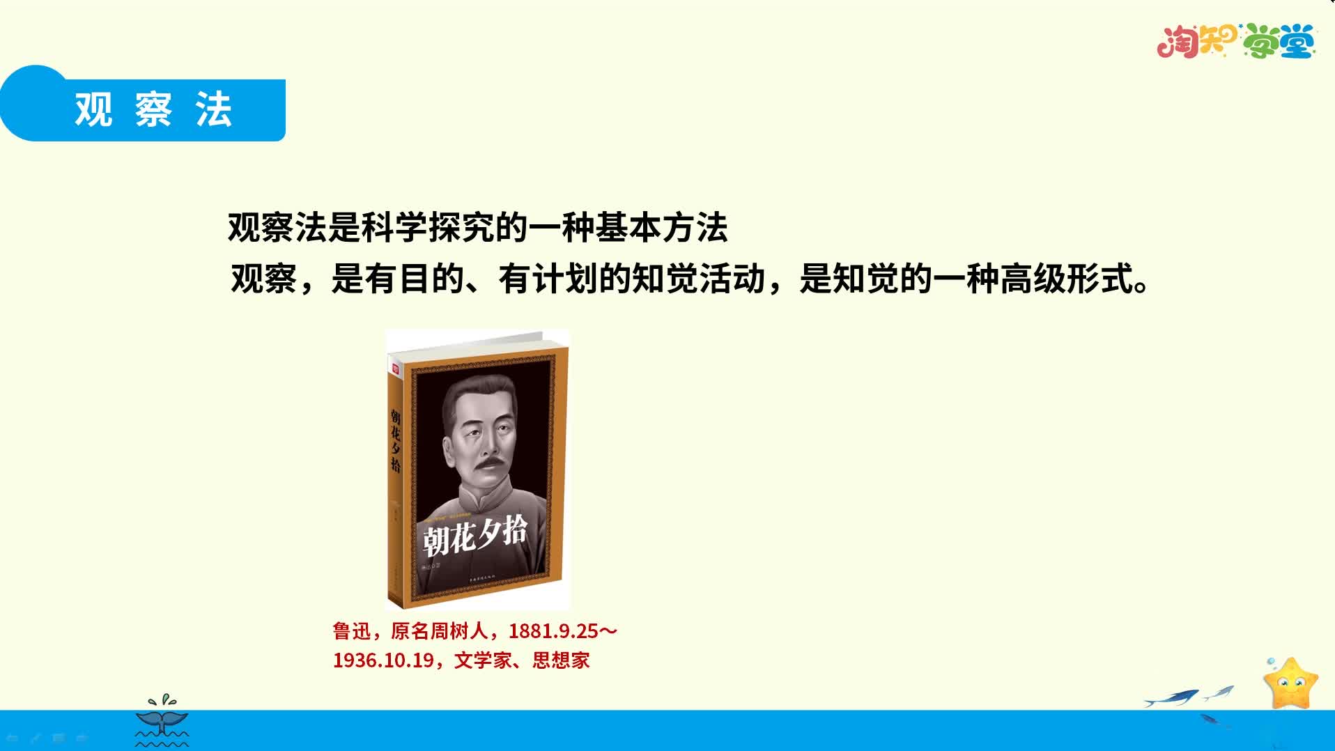 同步基础课-生物学七年级上册（人教版）