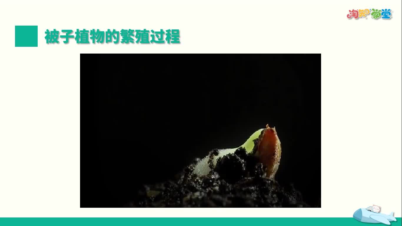 同步基础课-生物学八年级下册（人教版）