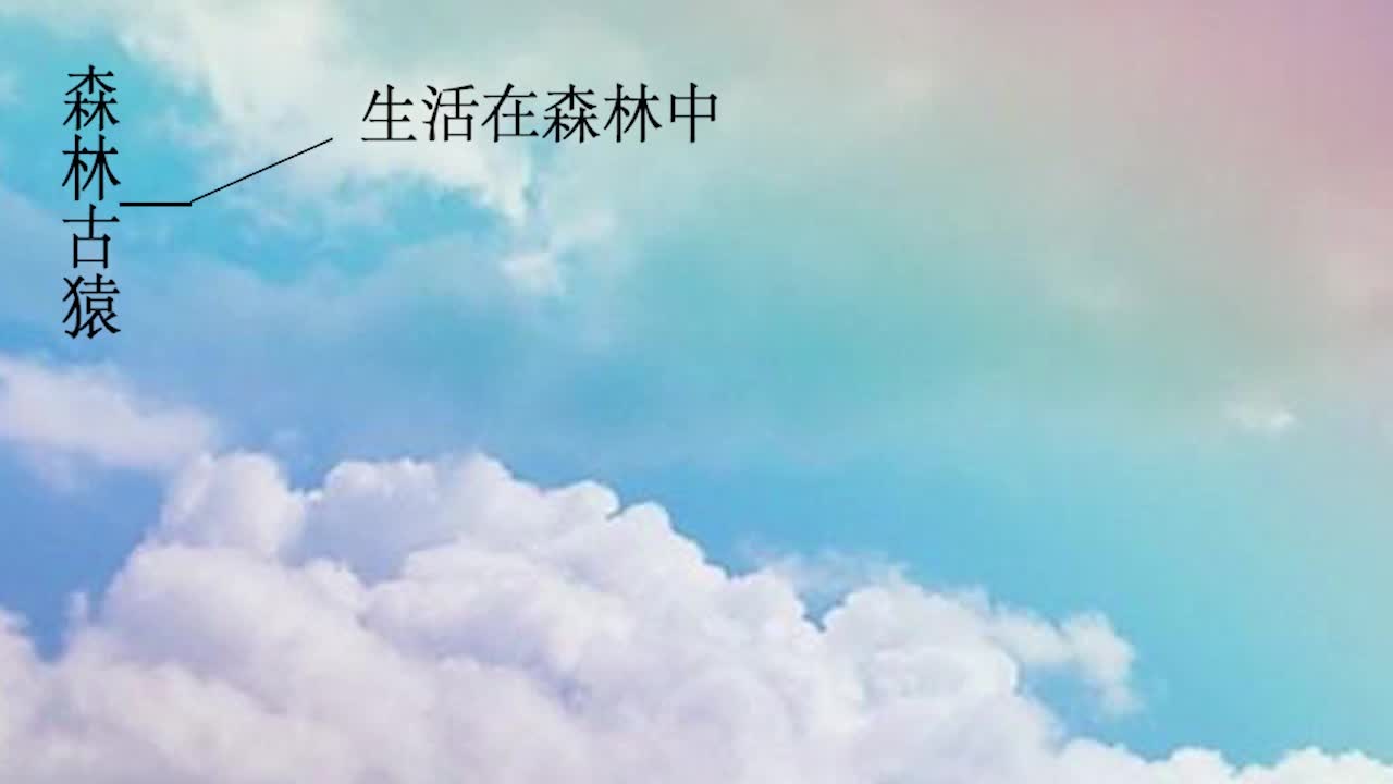 《同步考点精讲》生物七年级下册（人教版）