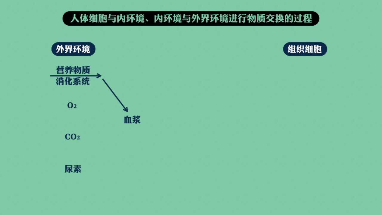 生物《知识点轻松学》必修3（RJ)
