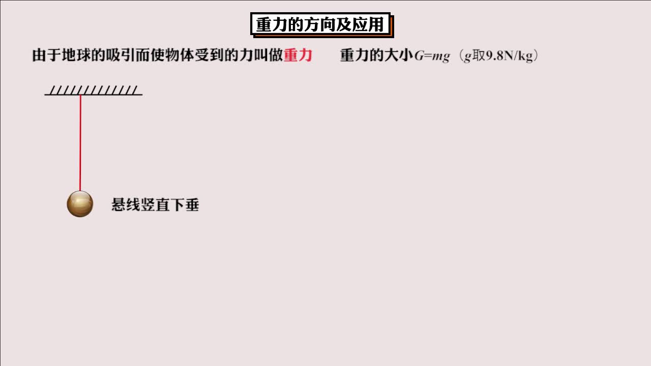 《同步考点精讲》物理八年级下册(人教版）