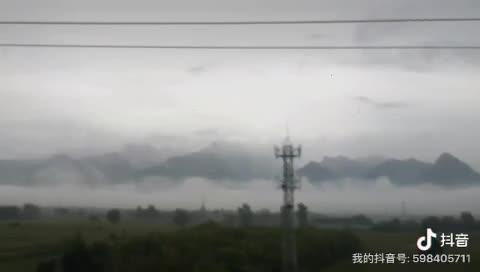 四个皮卡丘